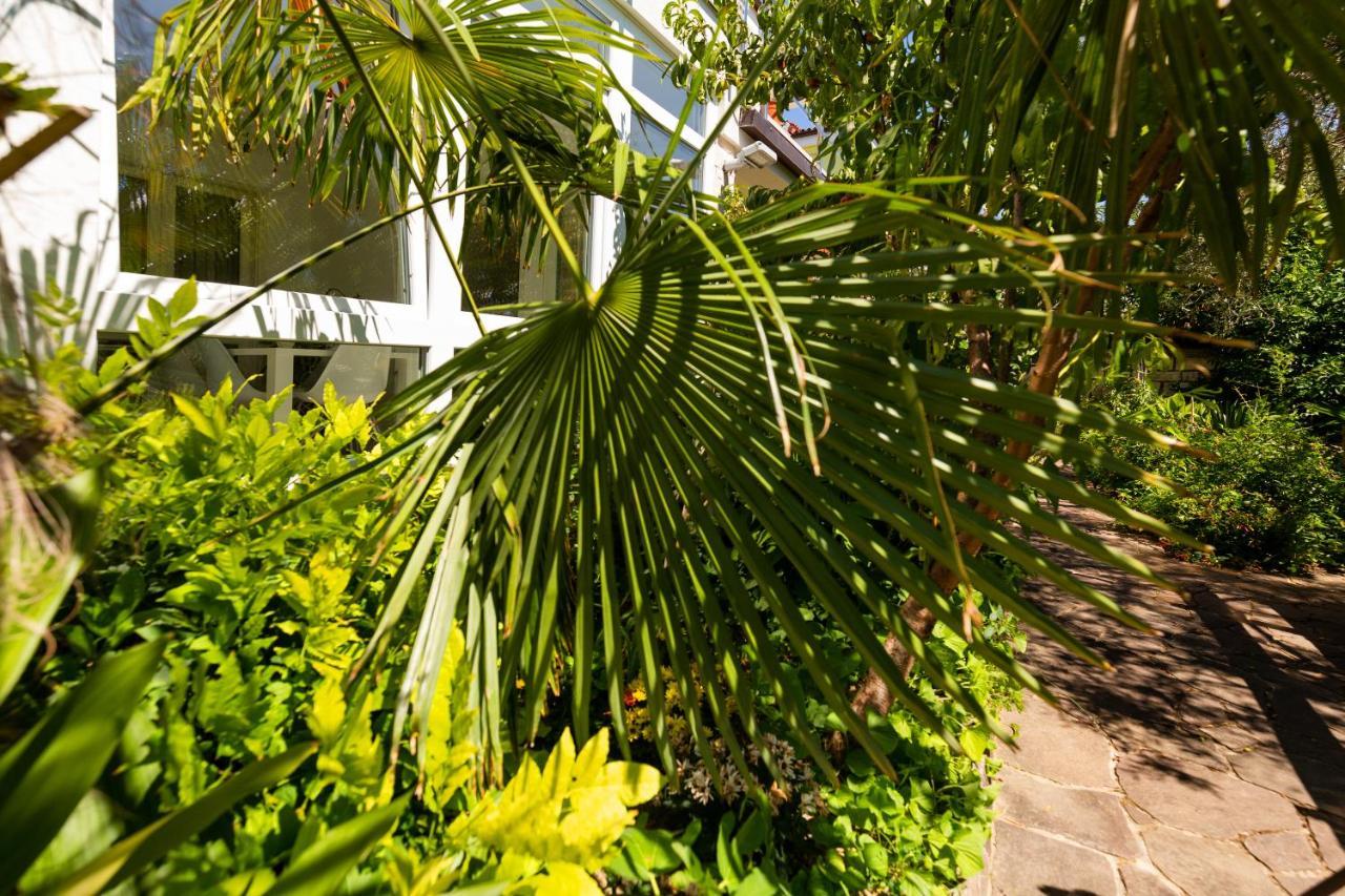 Apartment Lemut Portoroz Bagian luar foto
